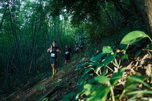 BIB: 
                            <button type="button" onclick="openModal(28124446)" class="btn btn-primary btn-sm float-right btn-popup" data-toggle="modal" data-target=".modal-high-quality">
                        <i class="fas fa-shopping-cart"></i> Add to Cart
                    </button>
                                            <button type="button" onclick="isThisMe(28124446, true)" class="btn btn-success btn-sm float-right btn-popup btn-isme hidden" data-toggle="tooltip" data-placement="bottom" title="นี่คือรูปของคุณใช่ไหม คลิกที่นี่เพื่อเอาเข้าอัลบั้ม">
                        <i class="fas fa-plus"></i> Add to album
                    </button>
                    <button type="button" onclick="isThisMe(28124446, false)" class="btn btn-warning btn-sm float-right btn-popup btn-isnotme hidden">
                        <i class="fas fa-ban"></i> Remove from album
                    </button>